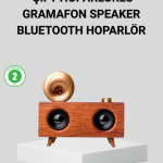 Retro Gramafon Bluetooth Hoparlör Çift Stereo Sesli FM Radyo Destekli - Lisinya