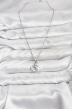 316L Çelik Zincir Gümüş Renk Deniz Kabuğu ve Deniz Yıldızı Model Zirkon Taşlı Kadın Kolye - Lisinya - Görsel 2