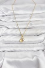 316L Çelik Zincir Gold Renk Deniz Kabuğu ve Deniz Yıldızı Model Zirkon Taşlı Kadın Kolye - Lisinya - Görsel 2