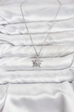 316L Çelik Zincir Gümüş Renk Yıldız Model Zirkon Taşlı Kadın Kolye - Lisinya - Görsel 2