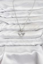 316L Çelik Zincir Gümüş Renk Kalp ve Fiyonk Model Zirkon Taşlı Kadın Kolye - Lisinya - Görsel 2