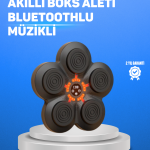 Müzikli Boks Duvar Paneli Akıllı Işık Sistemli Refleks ve Kondisyon Aleti - Lisinya