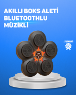 Müzikli Boks Duvar Paneli Akıllı Işık Sistemli Refleks ve Kondisyon Aleti - Lisinya