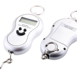 Dijital El Terazisi El Kantarı ( Lisinya )