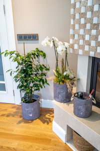 Kulplu Yuvarlak Düzenleyici Çok Amaçlı Kolay Taşınabilen Organizer Keçe Sepet (mega) 03648 ( Lisinya )