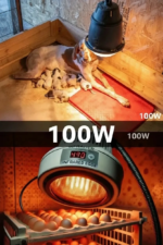 100W Kızılötesi (infrared) Isıtıcılı Hayvan Isıtma ve Kuluçka Lambası (Kırmızı Işık) E27 (Kalın Duy) ( Vipsepet ) - Görsel 2