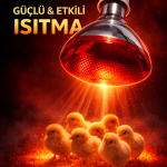 150W Isıtıcı Ampul Kırmızı Isı Lambası Civciv Kümes Kuluçka E27 Duy Isıtma Ampulü ( Vipsepet )
