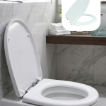 Universal Klozet Kapak Seti Kaydırmaz Alt Yüzey Kolay Temizlik Banyo Aksesuarı - Vipsepet