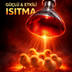100W Isıtıcı Ampul Kırmızı Isı Lambası Civciv Kümes Kuluçka E27 Duy Isıtma Ampulü ( Vipsepet )
