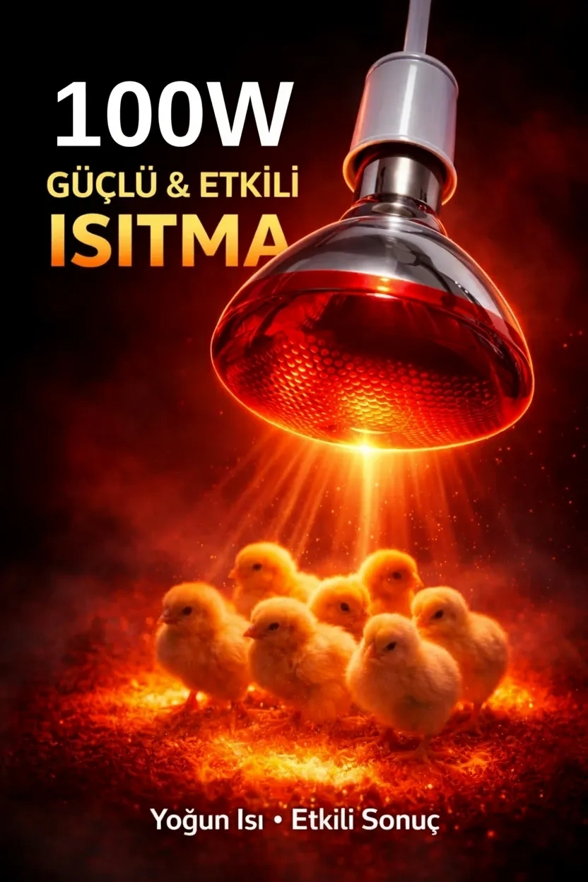 6a09cc1da7f98-10088935-sw832sh1248 100W Isıtıcı Ampul Kırmızı Isı Lambası Civciv Kümes Kuluçka E27 Duy Isıtma Ampulü ( Vipsepet ) - Görsel 1