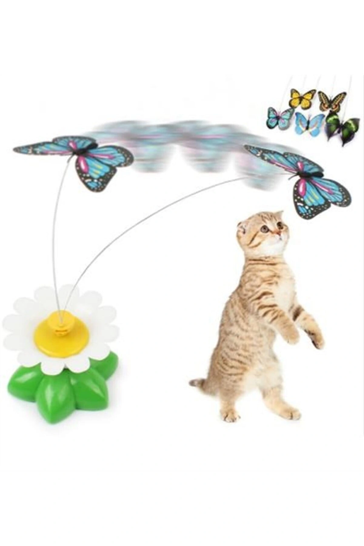 hareketli-pilli-kelebek-kedi-oyuncagi-127857796-sw1201sh1801 Hareketli Pilli Kelebek Kedi Oyuncağı ( Vipsepet ) - Görsel 1
